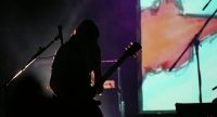 Bassist vor Silhouette des Publikums, Quelle: DTF