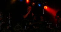Band auf bunt beleuchteter Bühne vor Silhouette des Publikums, Quelle: DTF