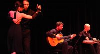 Musiker spielen Gitarre und Kanun auf der Bühne, links neben ihnen das Tango-Tanzpaar, Quelle: DTF