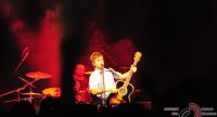 Gitarrist auf rot beleuchteter Bühne vor Silhouette des Publikums, Quelle: DTF