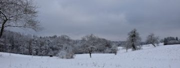 verschneites Feld unter wolkenverhangenem Himmel