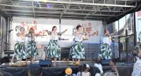 Frauen in hawaiianische Kleidern tanzen auf der Bühne, Quelle: DTF Stuttgart, Fotograf/in: Kerim Arpad