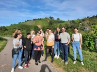 GEsamtes Team des DTF in den Weinbergen, Quelle: DTF Stuttgart