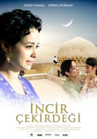 Quelle: DTF Filmposter Incir Cekirdegi Sinema 2010, Quelle: DTF